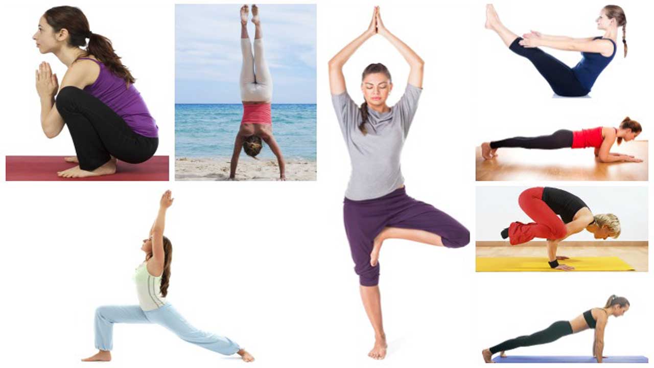 The Best Yoga Poses for the Beginner / Fitness